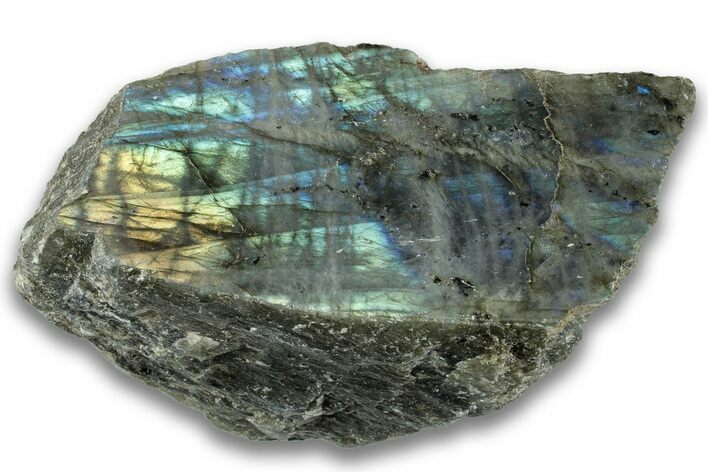 Single Side Polished Labradorite Section - Madagascar #324666